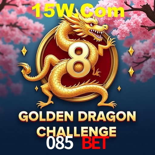 Descubra o Mundo do Cassino Online com 085 Bet